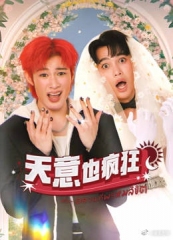 天意也疯狂