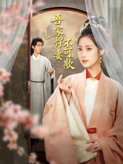 吾家悍妻不可欺