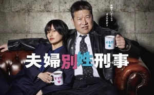 夫妇别姓刑警